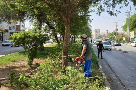 مجموعه اقدامات معاونت خدمات شهری شهردار مسجدسلیمان (واحد فضای سبز) در سطح شهر