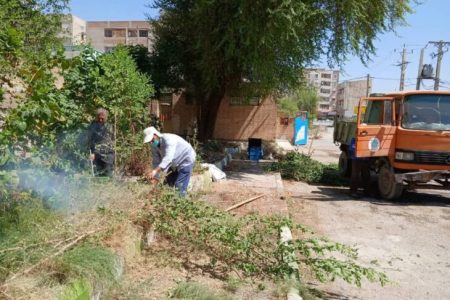 با دستور شهردار مسجدسلیمان؛ عملیات پاکسازی مدارس سطح شهر آغاز شد