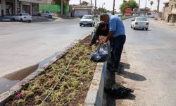تشریح عملکرد هفتگی معاونت خدمات شهری شهرداری مسجدسلیمان در حوزه فضای سبز / گسترش اقدامات عمرانی و نگهداری در راستای بهبود فضای سبز شهری