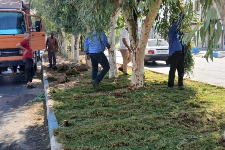گام تازه شهرداری مسجدسلیمان در توسعه و زیباسازی فضای سبز شهری